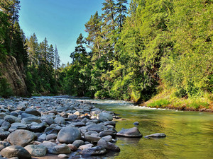 Riversong Sanctuary