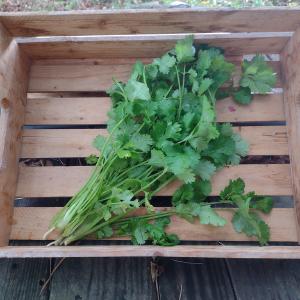 Full Circle Farm