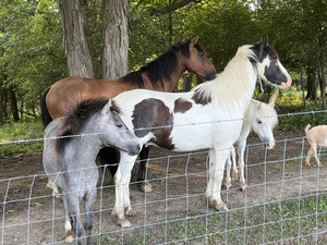 God's Bountiful Farm
