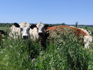 Riemer Family Farm