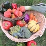 Tipi Produce