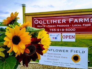 Golliher Farms