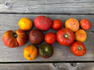 180 Degree Farm