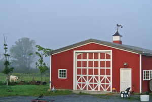Full Circus Farm