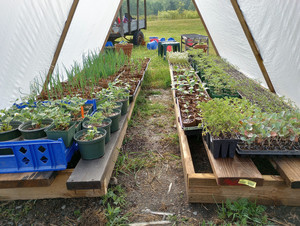 The Farmers Garden