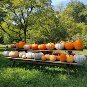 Windy Hill Family Farm