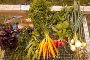 Graylight Farm