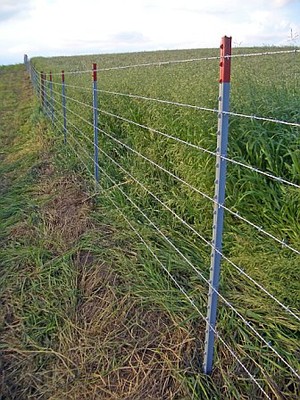 Marr's Valley View Farms, L.L.C.
