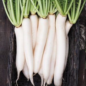 Sunbow Farm