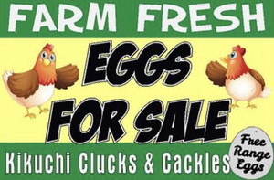Kikuchi Farm Fresh