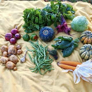 Threshing Table Farm