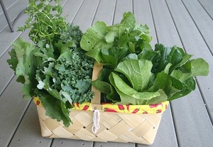 Abbott Farms