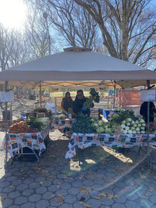 Down to Earth McGolrick Park Farmers Market