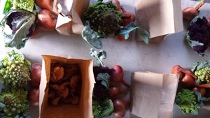 Grassroots Farm