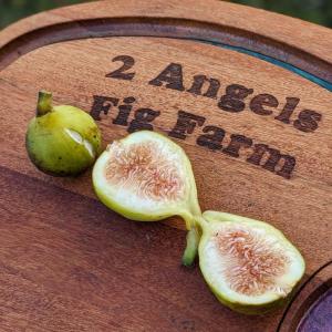 2 Angels Farm