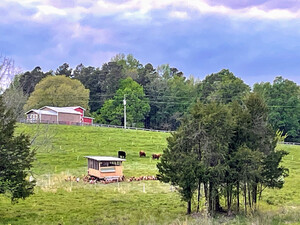 Little Way Farm