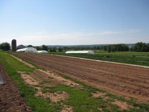 Wimer's Organics