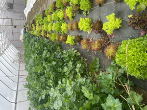 7 Wonders Farm