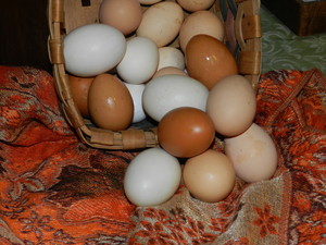 Pugh Farms: Our eggs don't stink