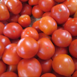 Fair Ridge Farms CSA
