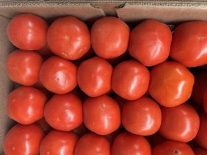 P.O.P.S. ( Pike's Organic Products and Services)  Farms