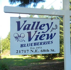 Valley View Blueberries