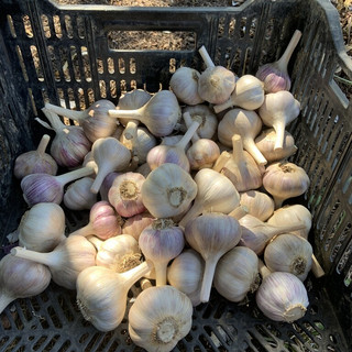 Wobbly Cart Farm