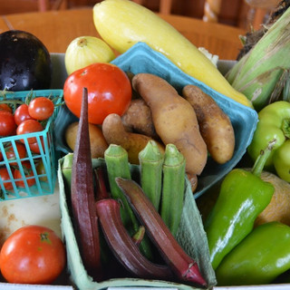 Delvin Farms