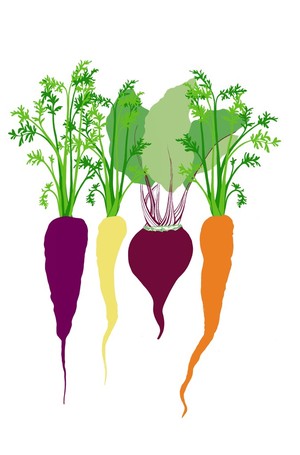 Common Ground Garden