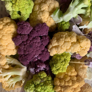 JR Organics