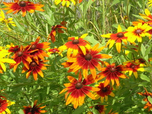 Maryhill Farms