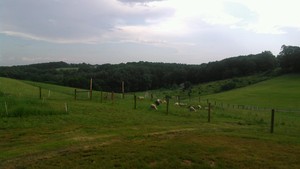 BlueLand Farm