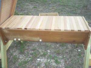 Bee Friendly Austin