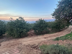 Hidden Hillside