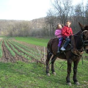 Liz and Paul's Farm