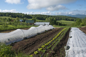 New Earth Organic Farm