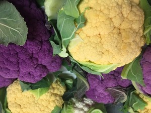 Blue Sky Organic Farms