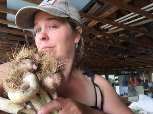 Colorado Garlic Company