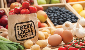 North Nashville Farmers Market at Davidson Farmers Co-op