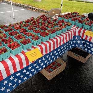 The Shoppes at Lafayette Farmer's Market