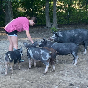 Ellis Farms