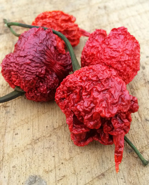 World's Hottest Chiles