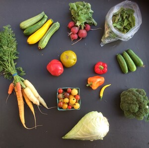Dancing Sprouts Farm