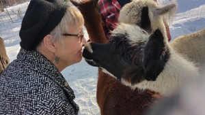Wright Choice Alpacas