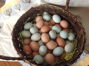 FarAway Farms