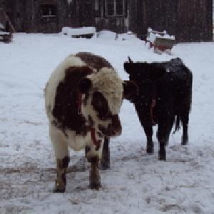 Pleasant Valley Farm