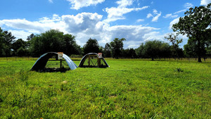 Rook Pastures