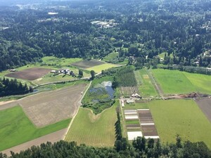One Leaf Farm