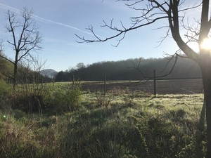 Blue Barn Farm
