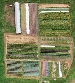Sandhill Farm
